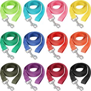 Pets.Love.Earth Nylon Dog Leash Assorted