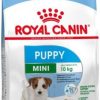 منتج للحيوانات الأليفة: Royal Canin Mini Puppy Dry Food - 4kg