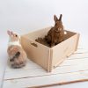 Bunny Nature Interactive Digging Box