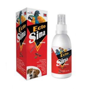 Ecto Sina Spray 100 Ml