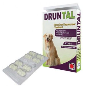 Druntal tablets are a treatment for roundworms and tapeworms in dogs