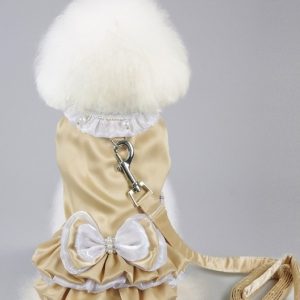 Pets.Love.Earth Golden Dress With Leash