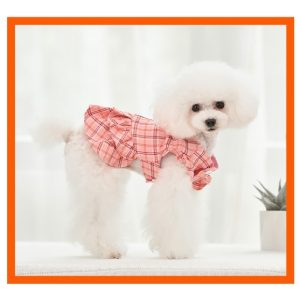 Pets.Love.Earth Checkered Dress Pink With Leash