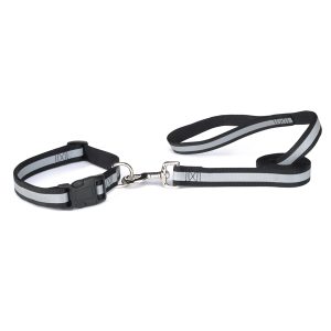 Pets.Love.Earth Reflective Collar and Lead