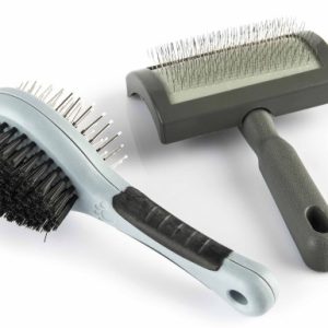 Pets.Love.Earth Dogs Brush Set of 2