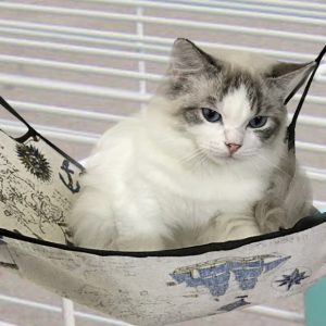 Pets.Love.Earth Linen cat hammock