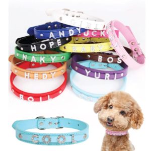 Pets.Love.Earth Slide Letter Collar