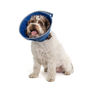 Calming Collar for dogs size 5