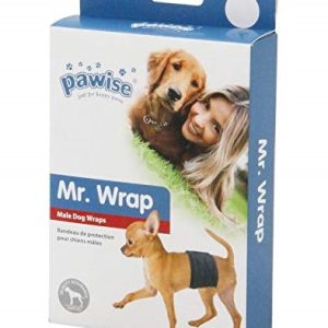 Pawise Male Dog Wrap