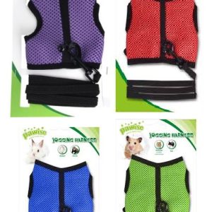 Pawise Jogging Harness