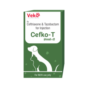 Veko Cefko-T Injection – Ceftriaxone & Tazobactam