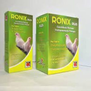 Ronix Powder 100 Gm